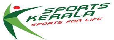 DSYA logo