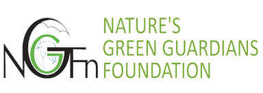 nggfn logo